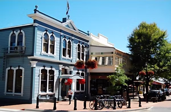 넬슨 i-site ㅊㅈ 썰 jpg - 밈카세