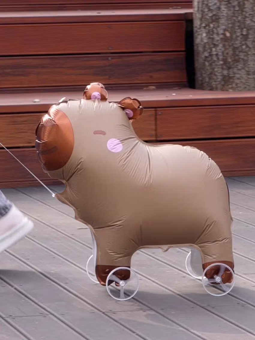 은근히 킹받는 다이소 신상 산책하는 동물 풍선.jpg - 밈카세