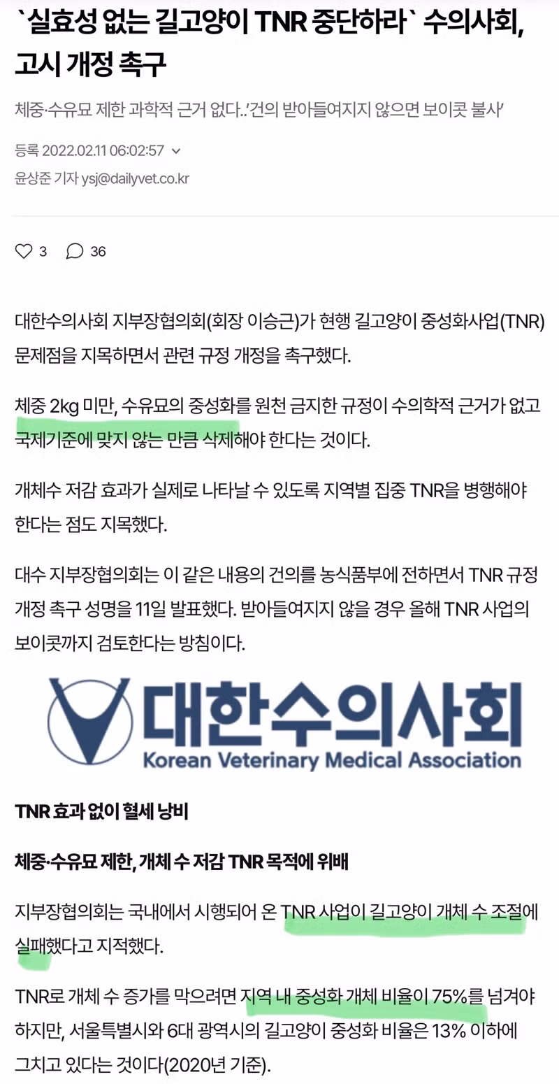 [단독] 정부, 소형 길고양이 중성화 추진…서울 자치구들 반발 [서울IN] - 밈카세