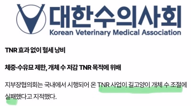[단독] 정부, 소형 길고양이 중성화 추진…서울 자치구들 반발 [서울IN] - 밈카세