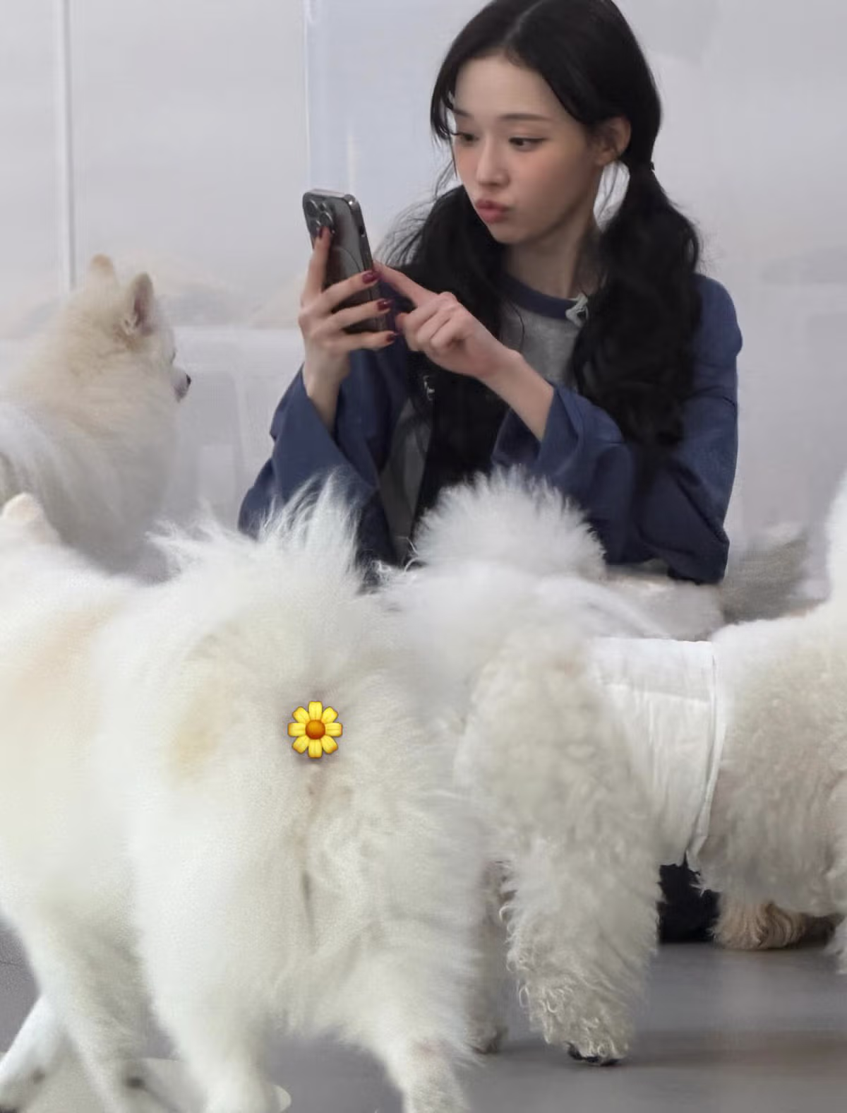 에스파 윈터 인스타 업뎃 - 밈카세