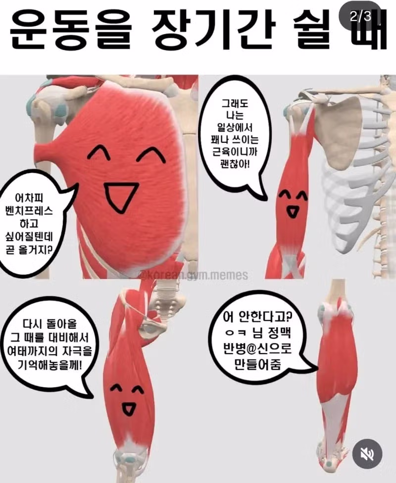 테토력이 뿜어져나오는 우리몸의 신체부위 2