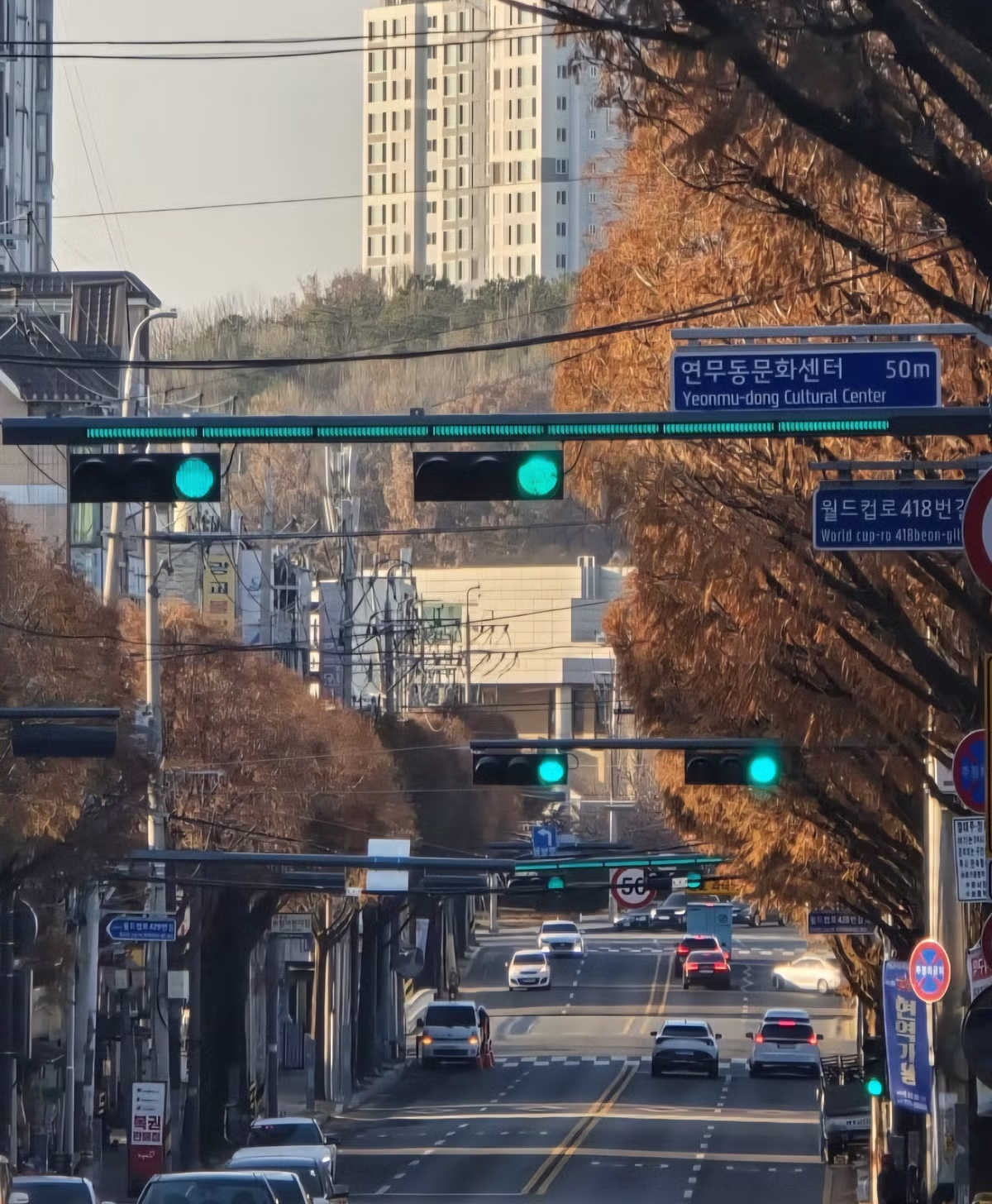 시인성 개선된 신호등 2