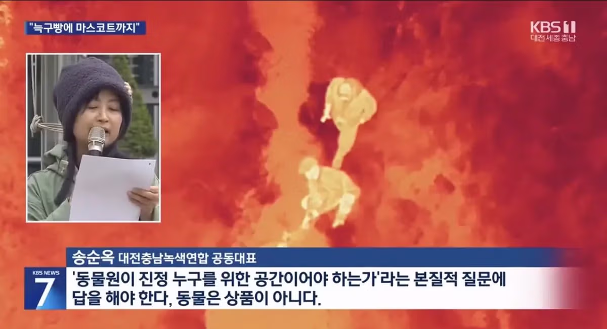 늑구 유행에 대한 환경단체와 동물단체의 반응.JPG - 밈카세