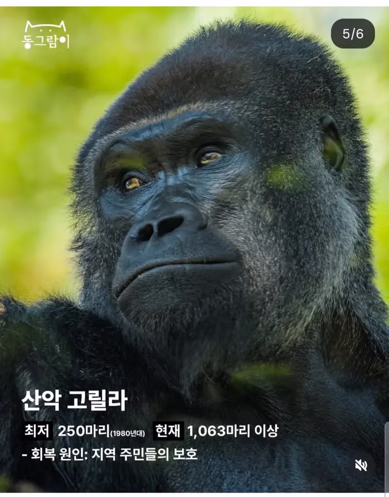 2026 부활한 야생동물 5종 - 밈카세