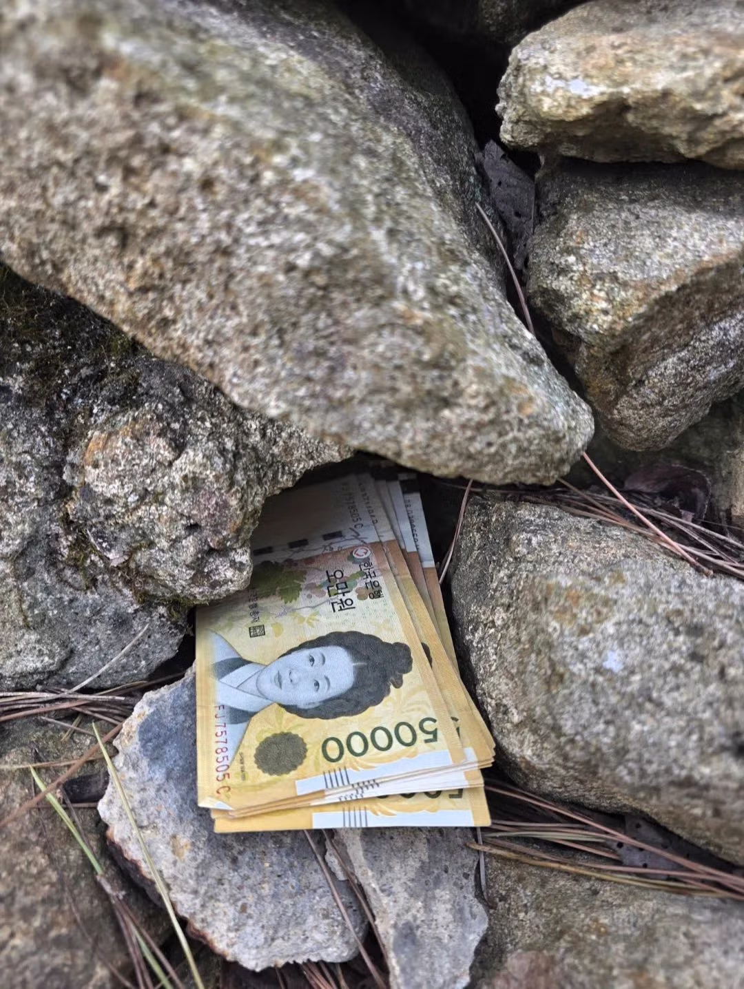 뒷산 갔다가 돈 50만원 주웠다는 디시인.jpg - 밈카세