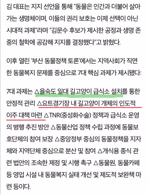 재개발로 갈 곳 잃은 수영만 길고양이, 동백유원지서 임시 보호? - 밈카세