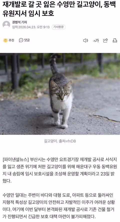 재개발로 갈 곳 잃은 수영만 길고양이, 동백유원지서 임시 보호? - 밈카세