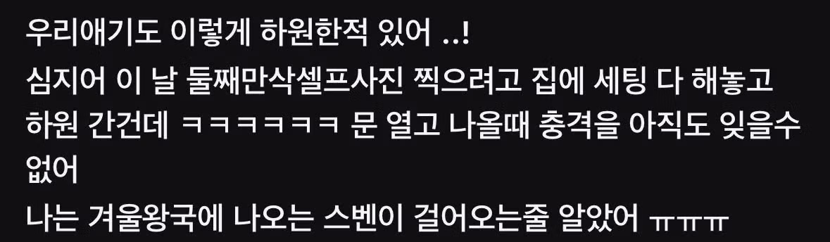 어린이집 선생님들 진짜 금손이야 - 밈카세