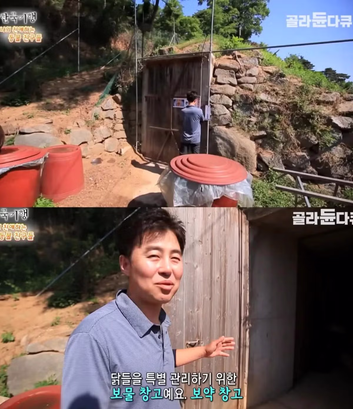 백숙집 차리려고 닭 키우기 시작한 부부의 최후 - 밈카세