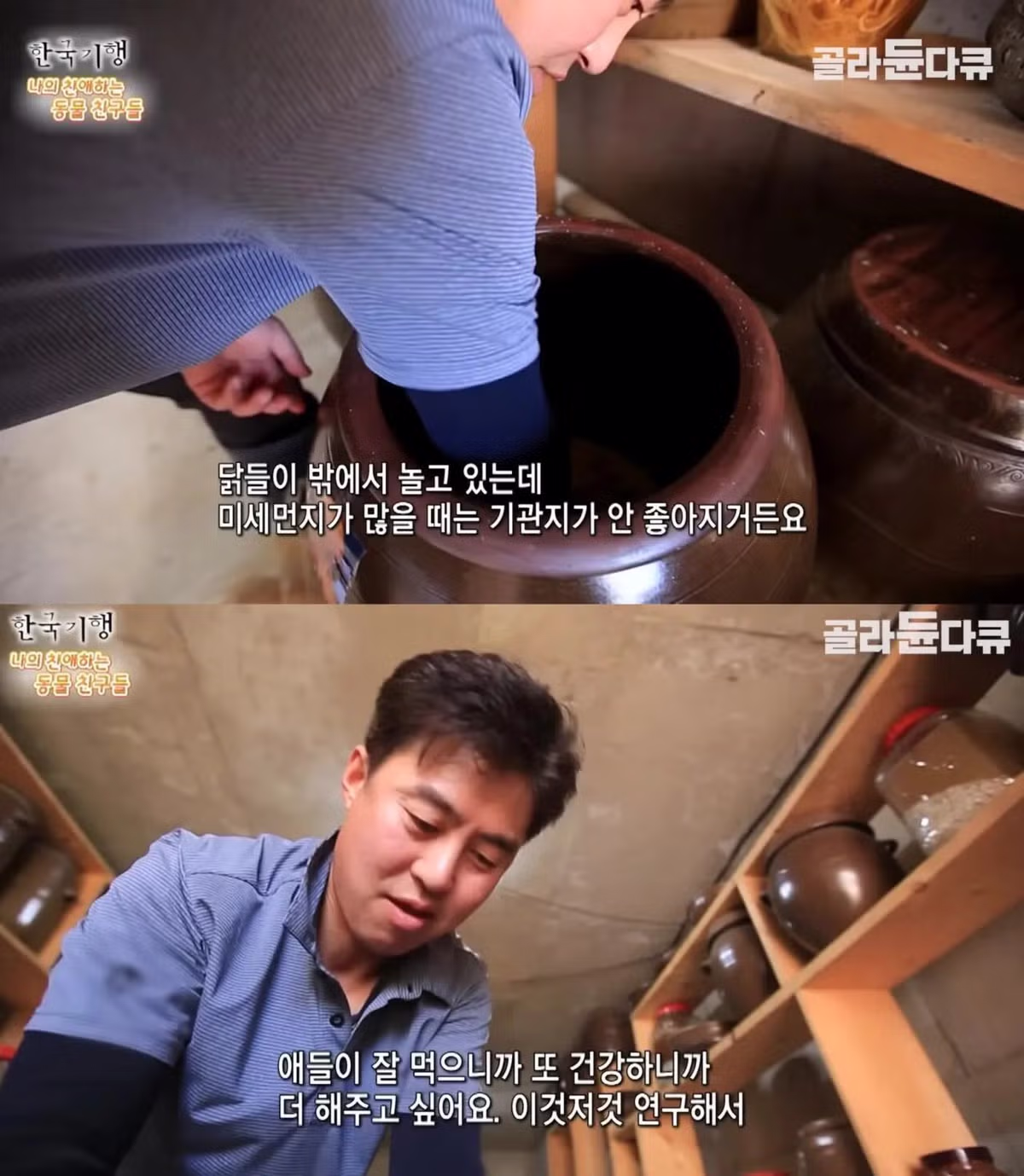 백숙집 차리려고 닭 키우기 시작한 부부의 최후 - 밈카세