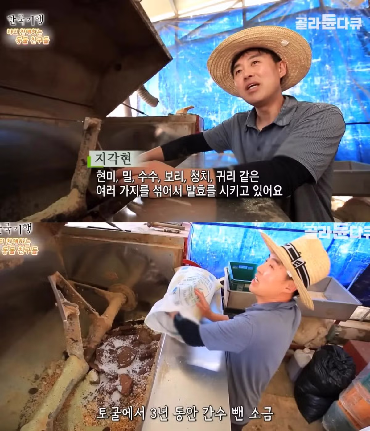 백숙집 차리려고 닭 키우기 시작한 부부의 최후 - 밈카세