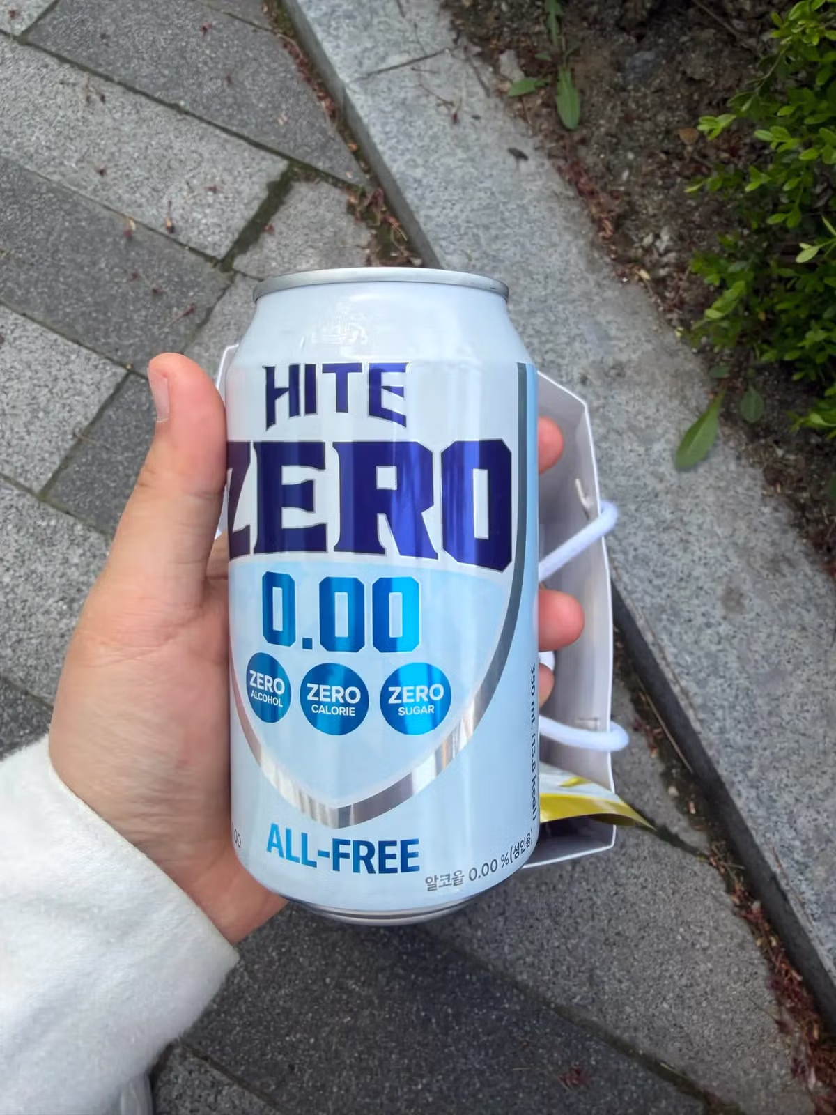 염혜란 배우 역조공 수준 - 밈카세