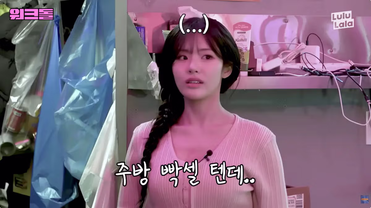 워크돌 나와서 찐으로 일만 하고 간 여돌.jpg - 밈카세