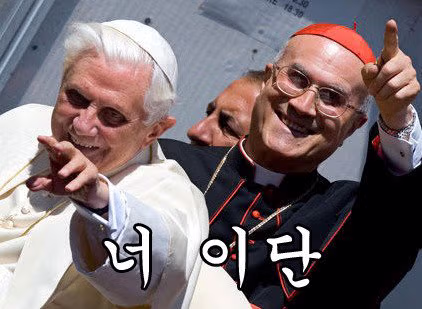 외모때문에 밈이 되었던 교황.jpg 10