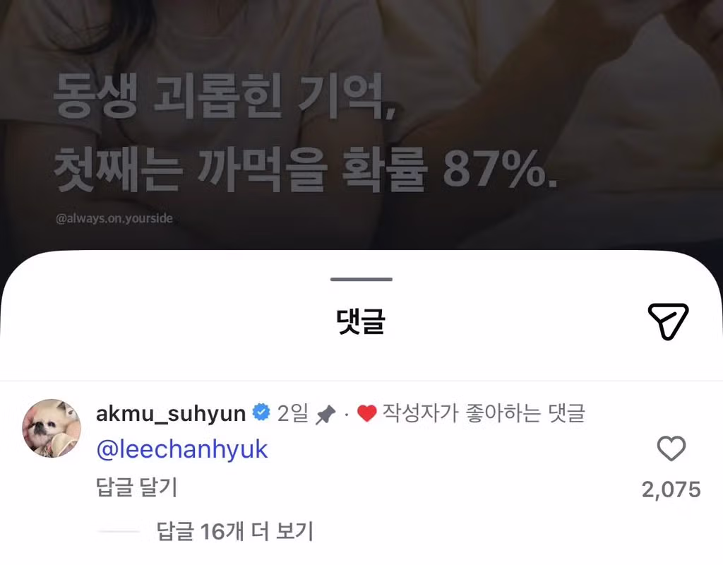 동생 괴롭힌 기억, 첫째는 까먹을 확률 87% - 밈카세