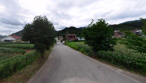 평창 시골학교.. 여성 최초 변호사시험 합격자.jpg - 밈카세