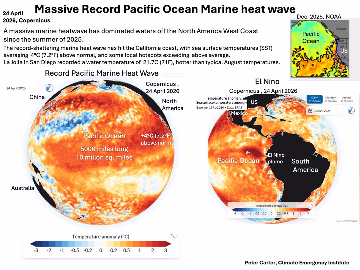 🔥🌏🌎🌍🔥아무래도 진짜 조진거 같습니다. - 밈카세