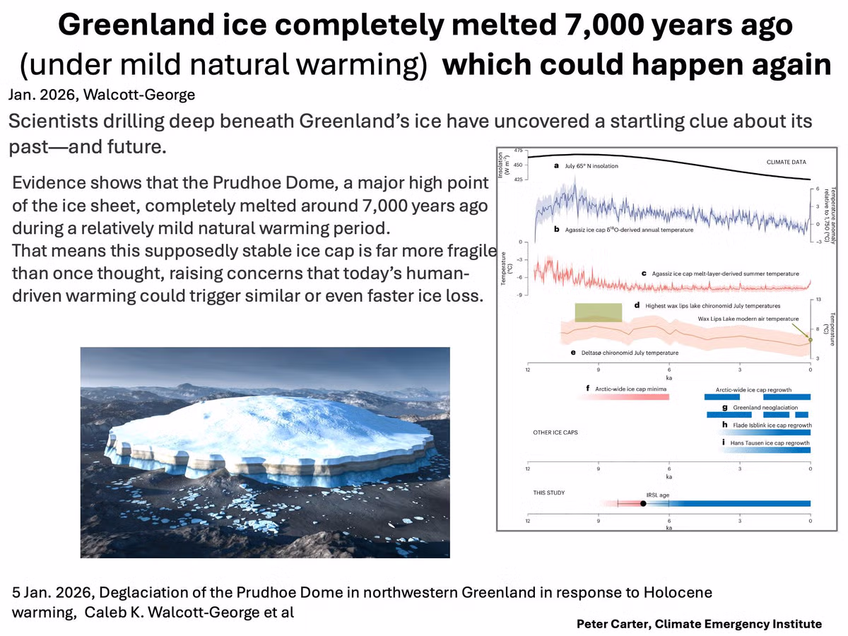 🔥🌏🌎🌍🔥아무래도 진짜 조진거 같습니다. - 밈카세