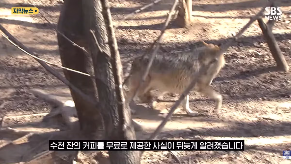 매출 0원이지만 4500잔 커피돌린 이디야커피 오월드점 - 밈카세