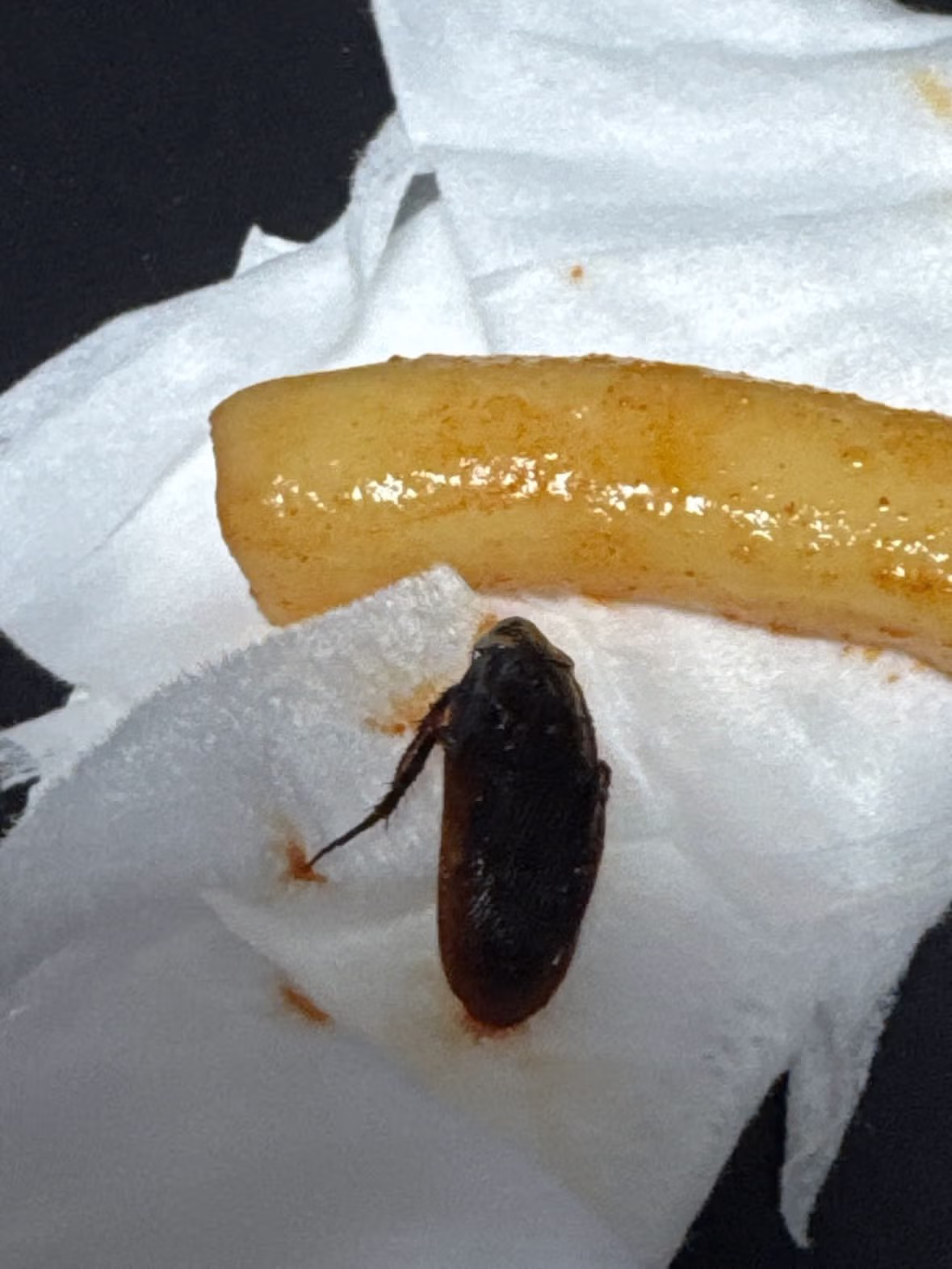 (바선생 주의) 삼첩분식 사과문.jpg - 밈카세