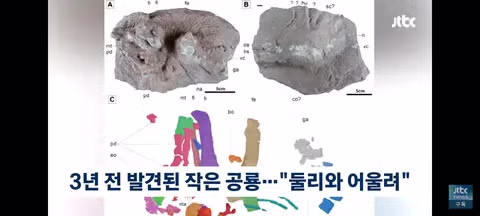 이게 진짜 둘리?…한국서 나온 새 공룡 '둘리사우르스' 6