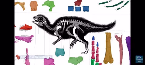 이게 진짜 둘리?…한국서 나온 새 공룡 '둘리사우르스' 7