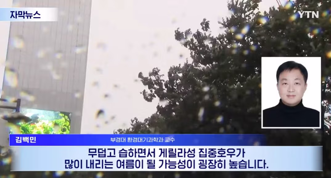 올 여름 "죽음의 습기"41 - 밈카세