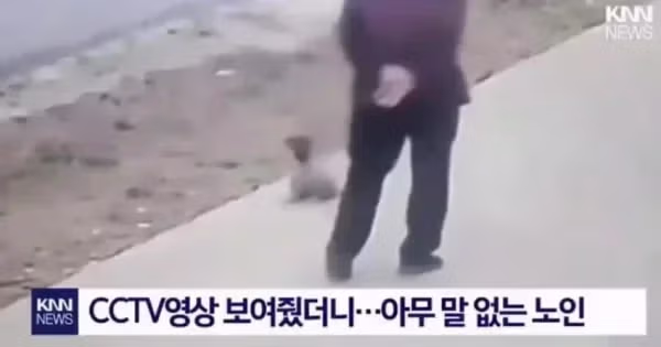 "개가 날 공격해서 넘어졌다" 배상 요구한 노인 - 밈카세