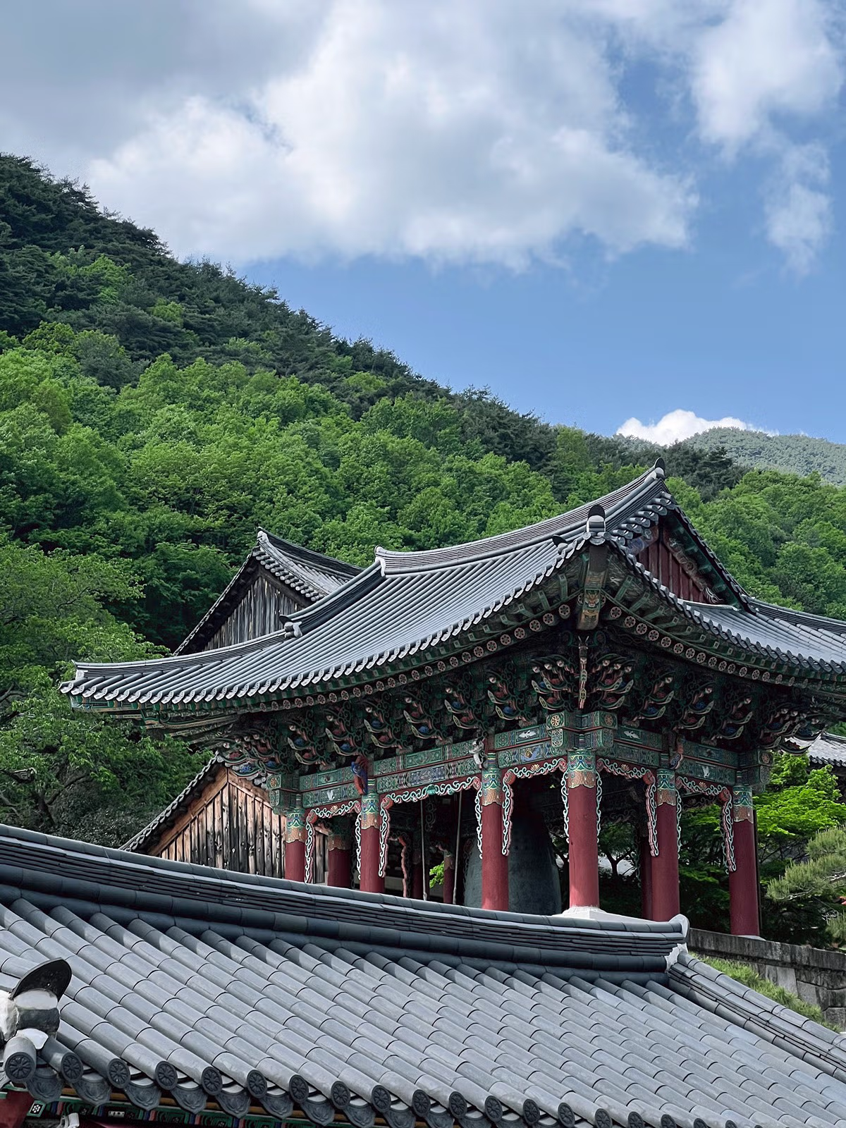 교토 왜 감 구례 가면 되는데.jpg - 밈카세