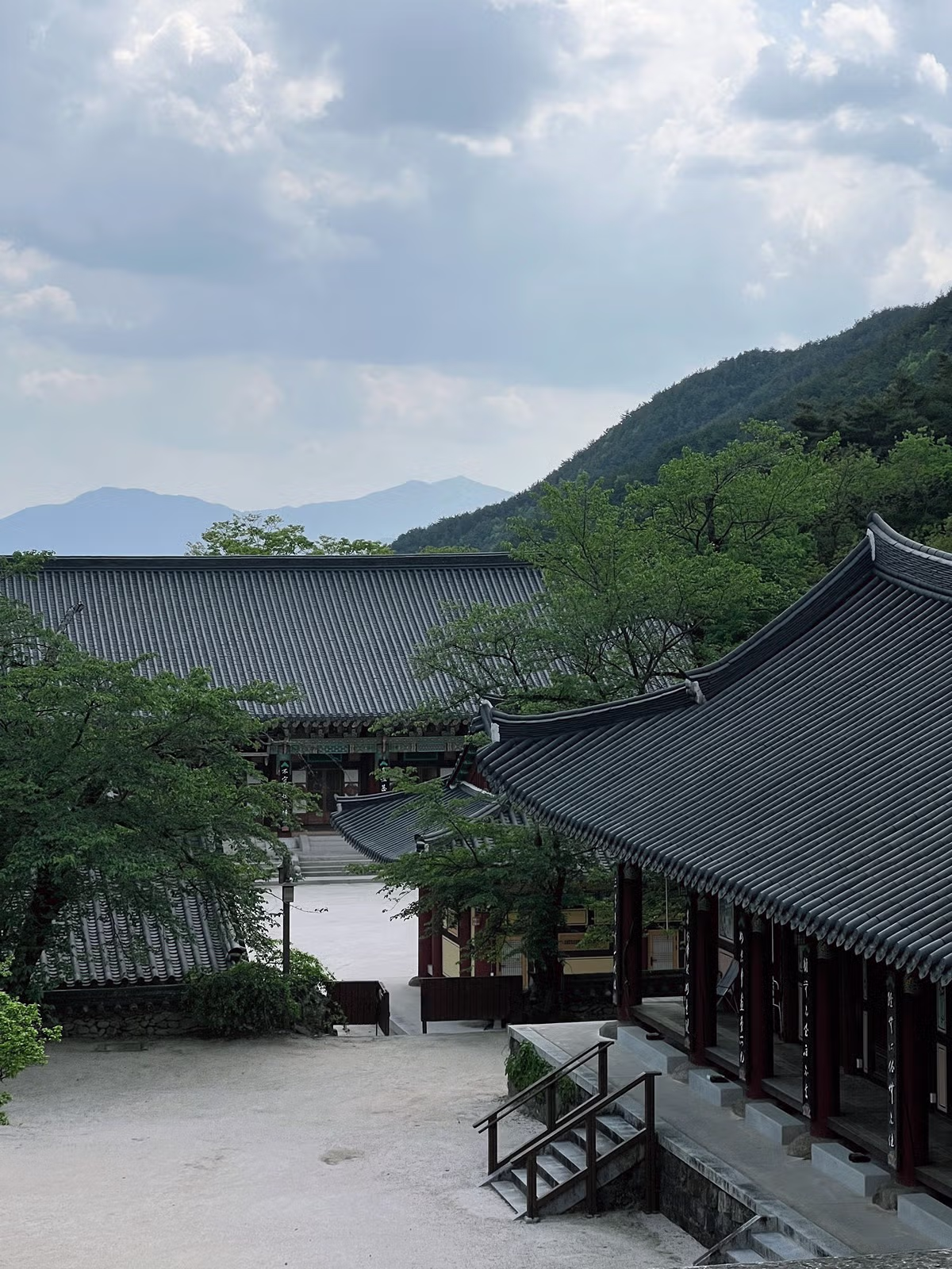 교토 왜 감 구례 가면 되는데.jpg - 밈카세