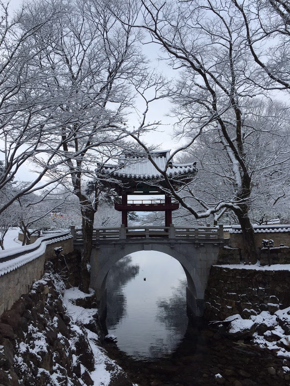 교토 왜 감 구례 가면 되는데.jpg - 밈카세