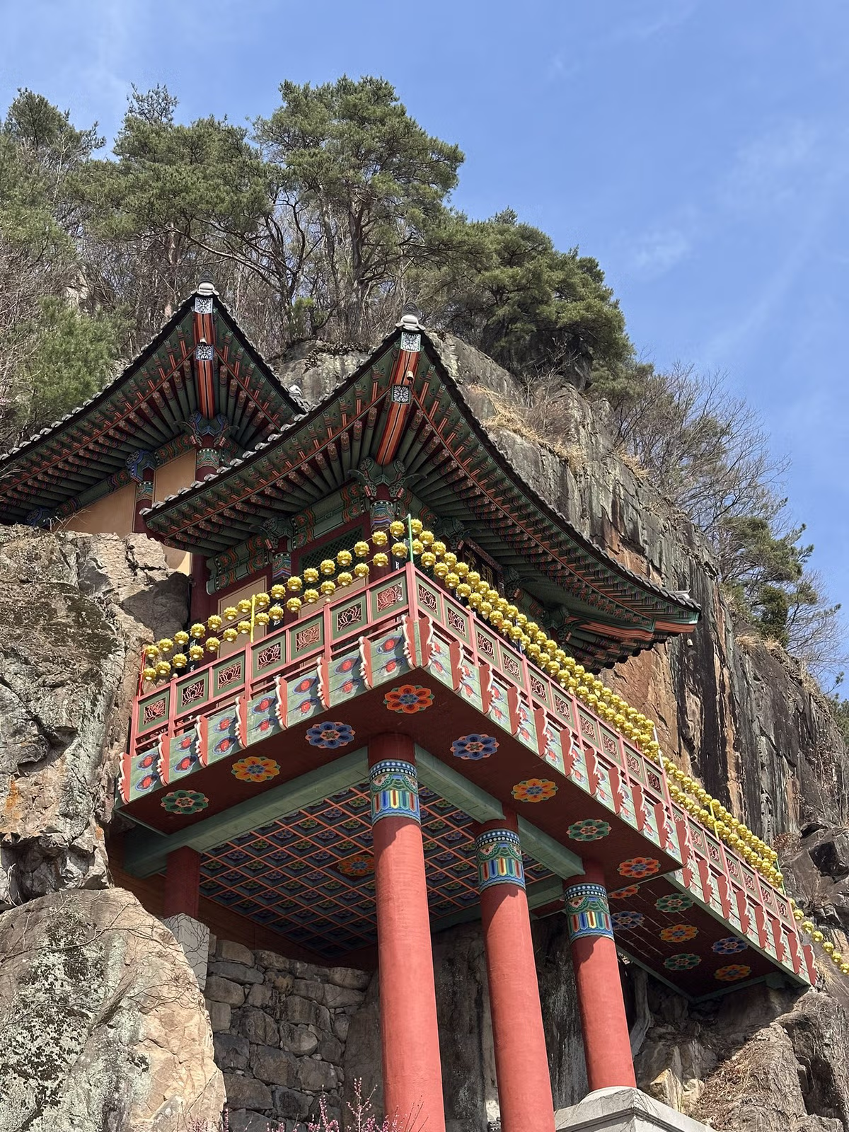 교토 왜 감 구례 가면 되는데.jpg - 밈카세