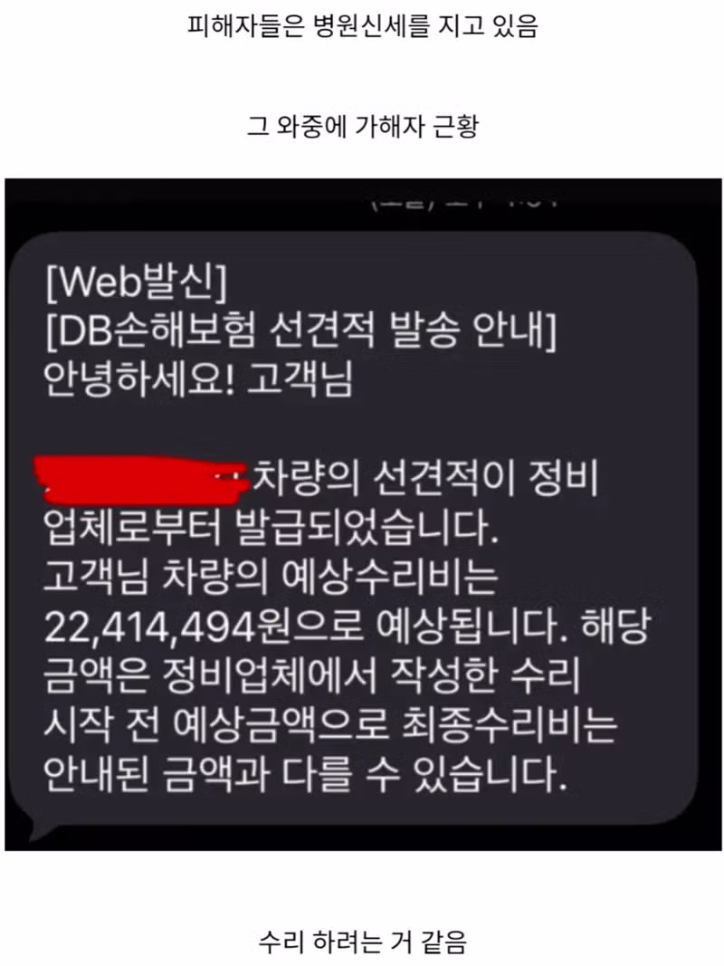 사람이 다쳤는데 243km 과속자랑, 08년생 아반떼N 사고 - 밈카세
