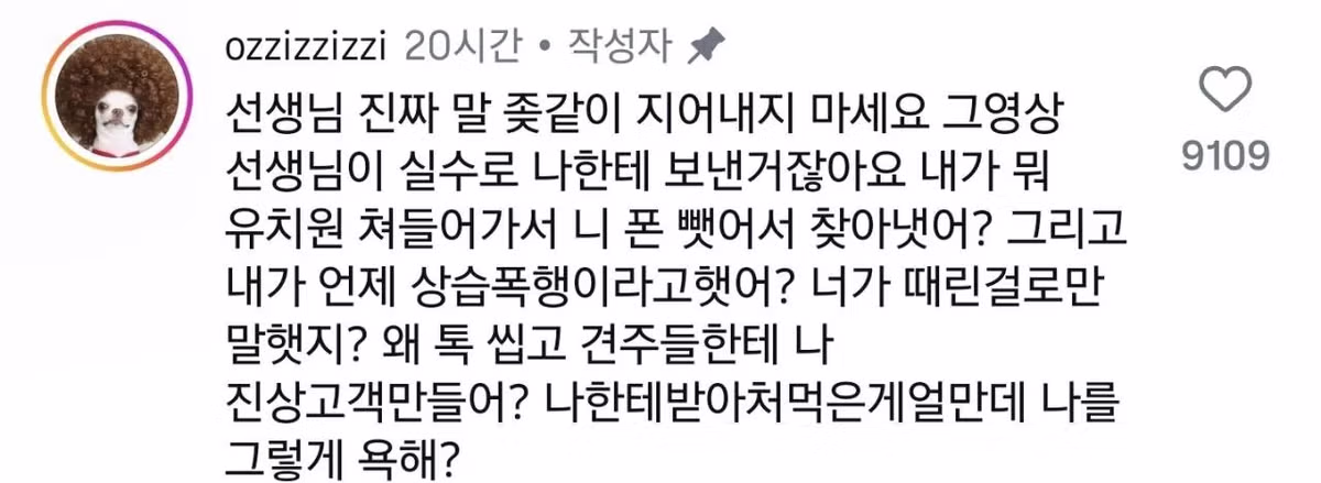 강아지유치원 학대 영상 ㄷㄷㄷ - 밈카세