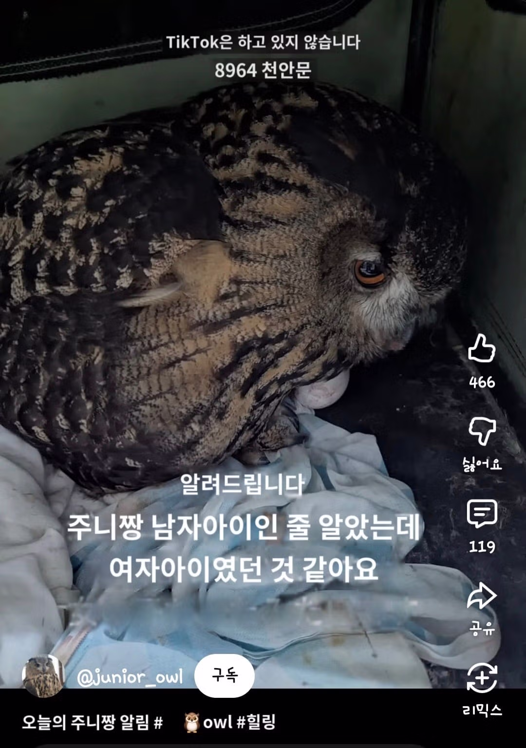 어느 일본인 유튜버가 6년만에 눈치챈 사실.mp4 - 밈카세