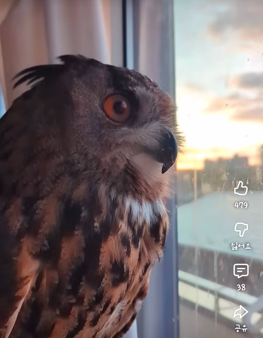 어느 일본인 유튜버가 6년만에 눈치챈 사실.mp4 - 밈카세