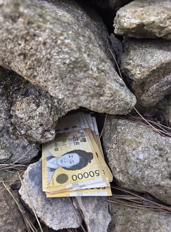 50만원 주운 디씨인 - 밈카세