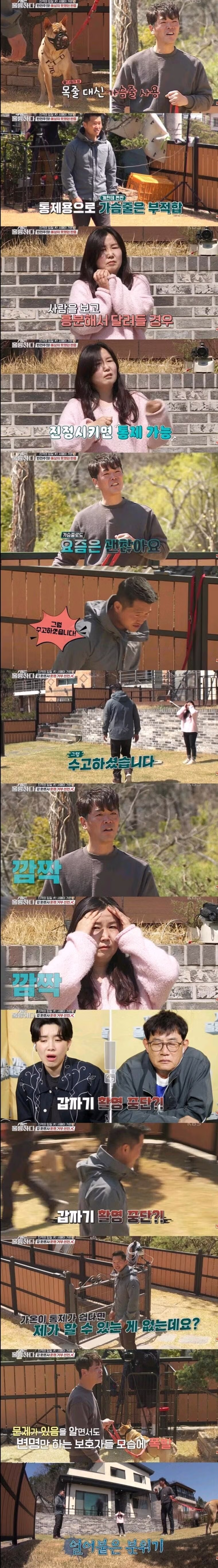 개물림 사고 대부분 원인.jpg - 밈카세