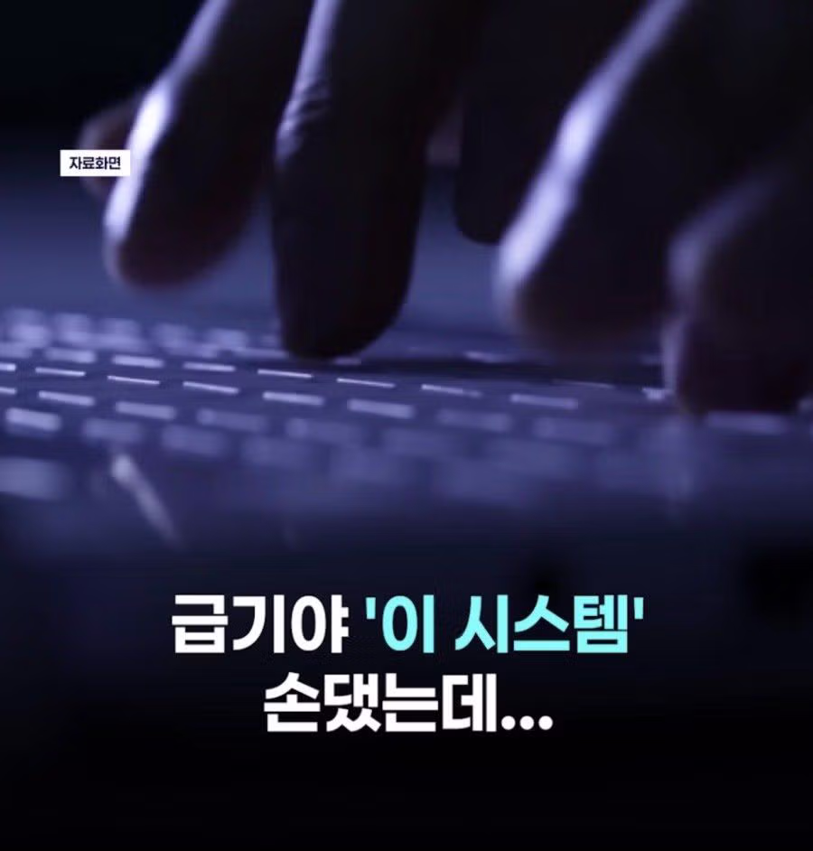 국세청 직원들 감사해 본 결과 - 밈카세