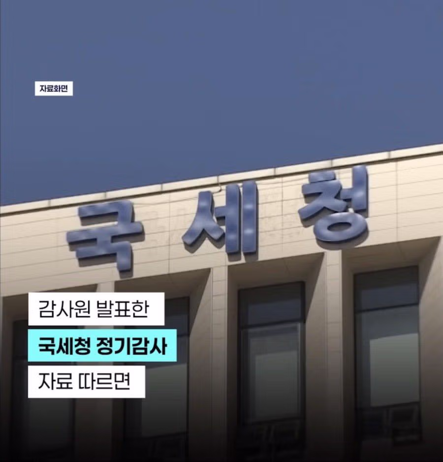 국세청 직원들 감사해 본 결과 - 밈카세
