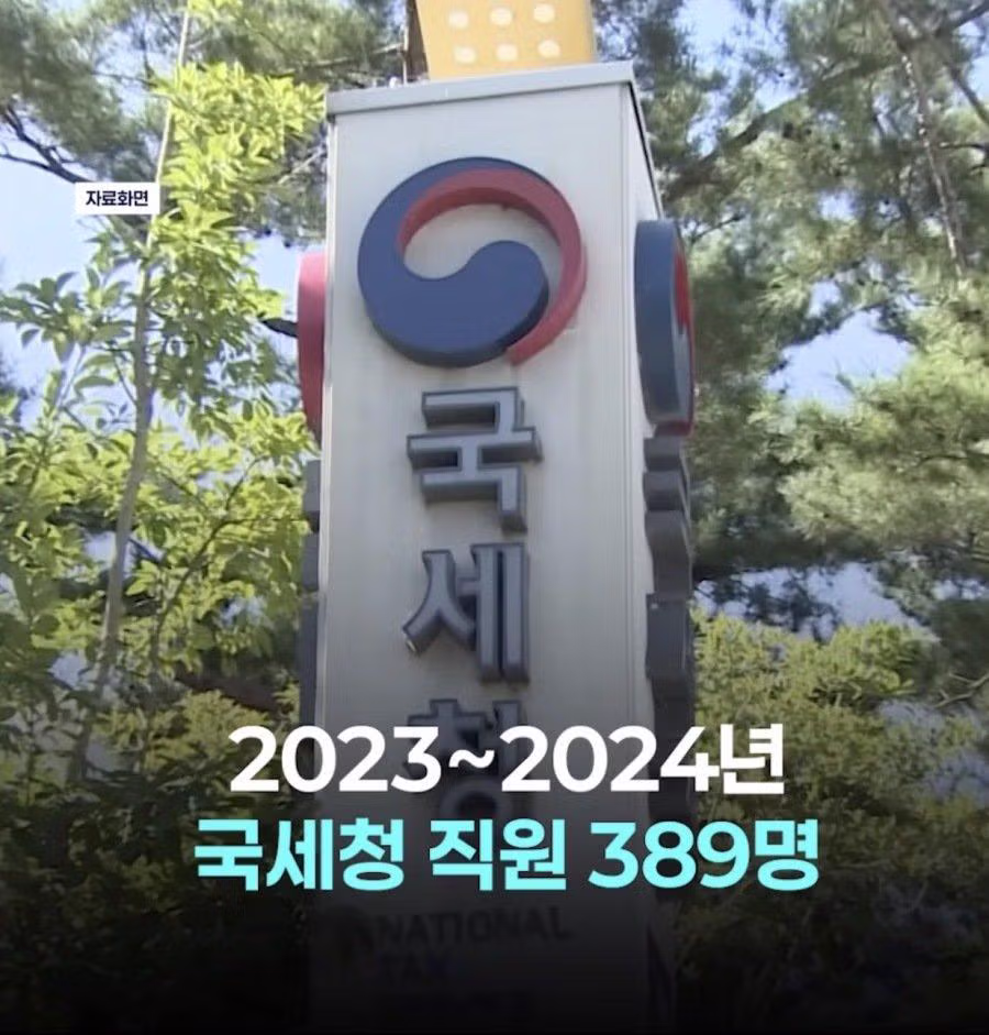 국세청 직원들 감사해 본 결과 - 밈카세