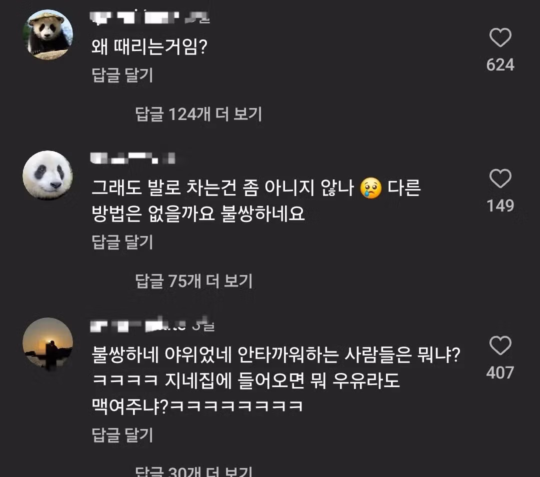 살다살다 멧돼지맘까지 등장.mp4 - 밈카세