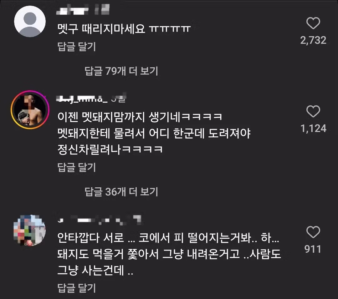 살다살다 멧돼지맘까지 등장.mp4 - 밈카세