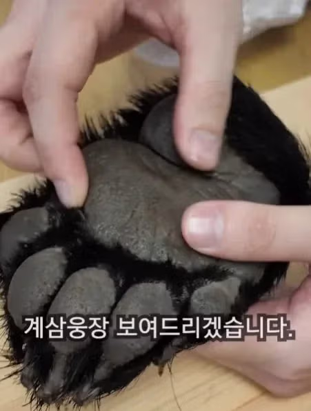 점점 기괴한 요리를 하고 있는 채널 - 밈카세