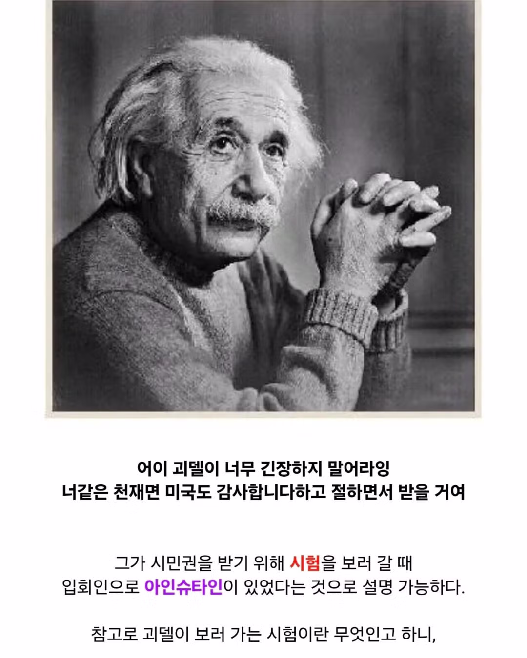 귀화시험 깽판 친 괴델.jpg 3