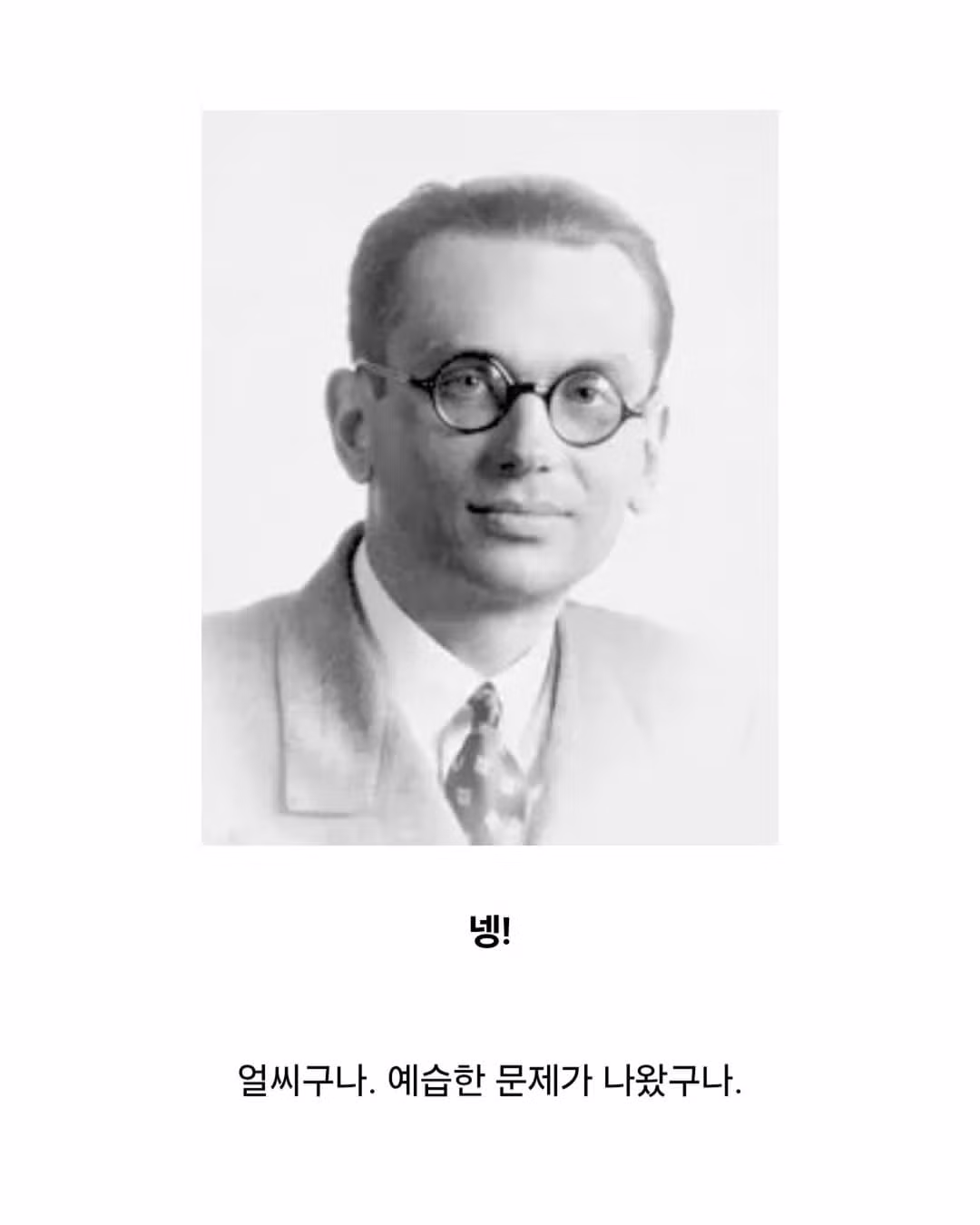 귀화시험 깽판 친 괴델.jpg 9