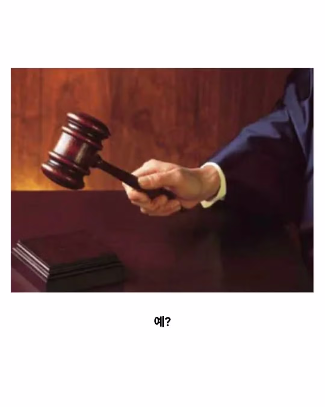 귀화시험 깽판 친 괴델.jpg 11