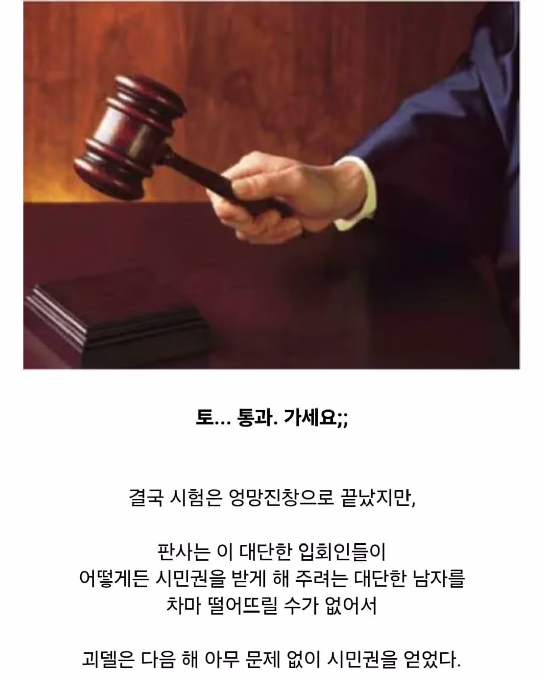 귀화시험 깽판 친 괴델.jpg 13