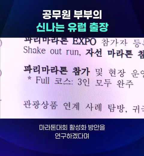 공무원 부부의 신나는 유럽 출장 - 밈카세